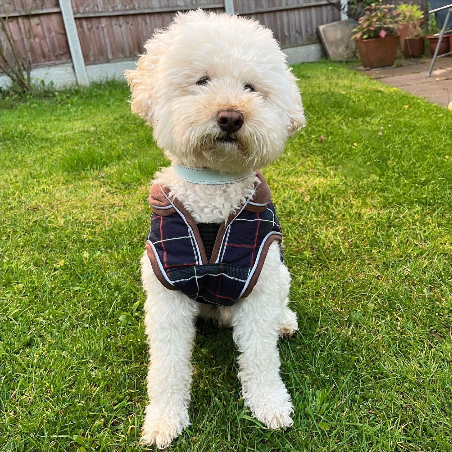 Hugglepets Legacy Dog Coat Traditional Tartan Herringbone Reflective Warm Jacket