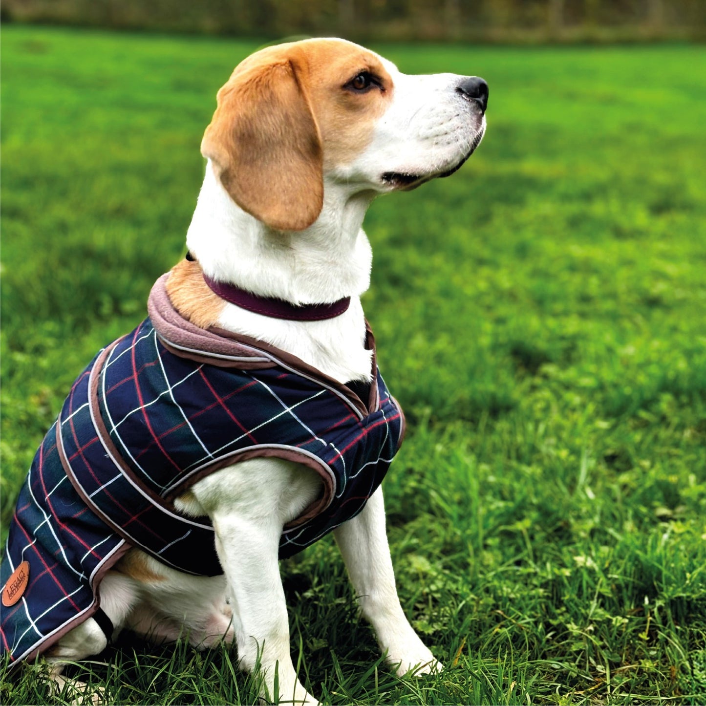 Hugglepets Legacy Dog Coat Traditional Tartan Herringbone Reflective Warm Jacket