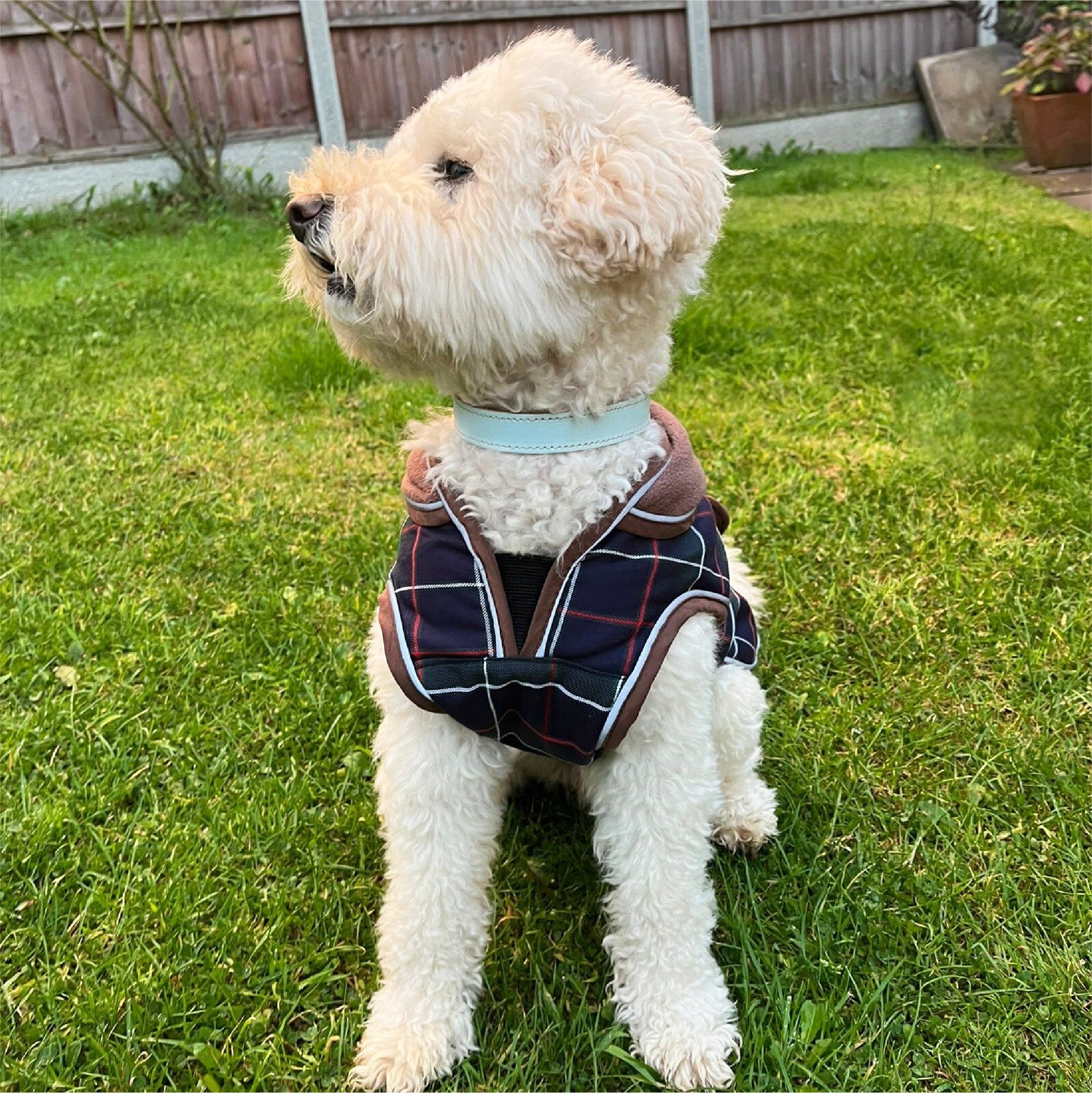Hugglepets Legacy Dog Coat Traditional Tartan Herringbone Reflective Warm Jacket