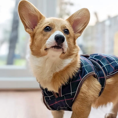 Hugglepets Legacy Dog Coat Traditional Tartan Herringbone Reflective Warm Jacket