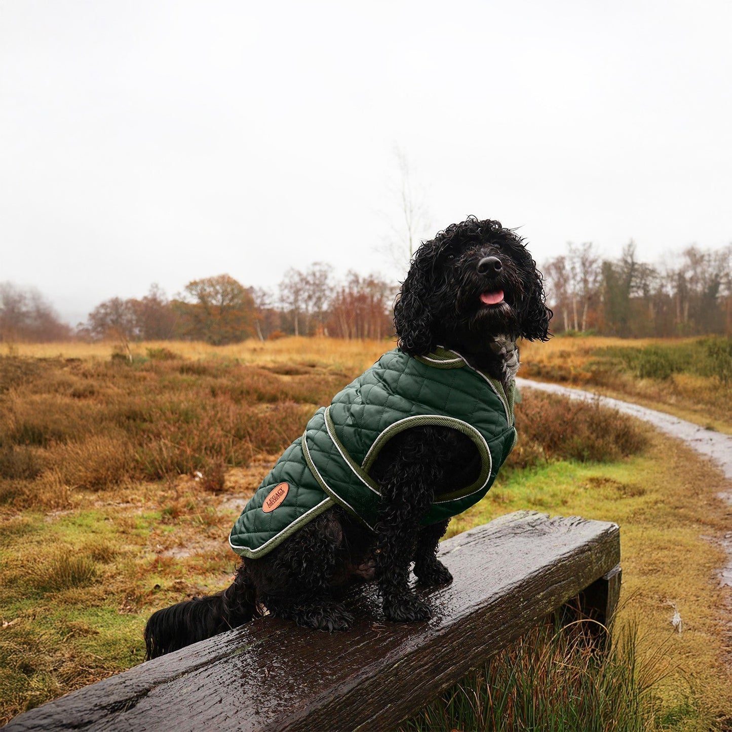 Hugglepets Legacy Dog Coat Traditional Tartan Herringbone Reflective Warm Jacket