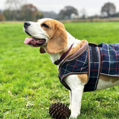Hugglepets Legacy Dog Coat Traditional Tartan Herringbone Reflective Warm Jacket