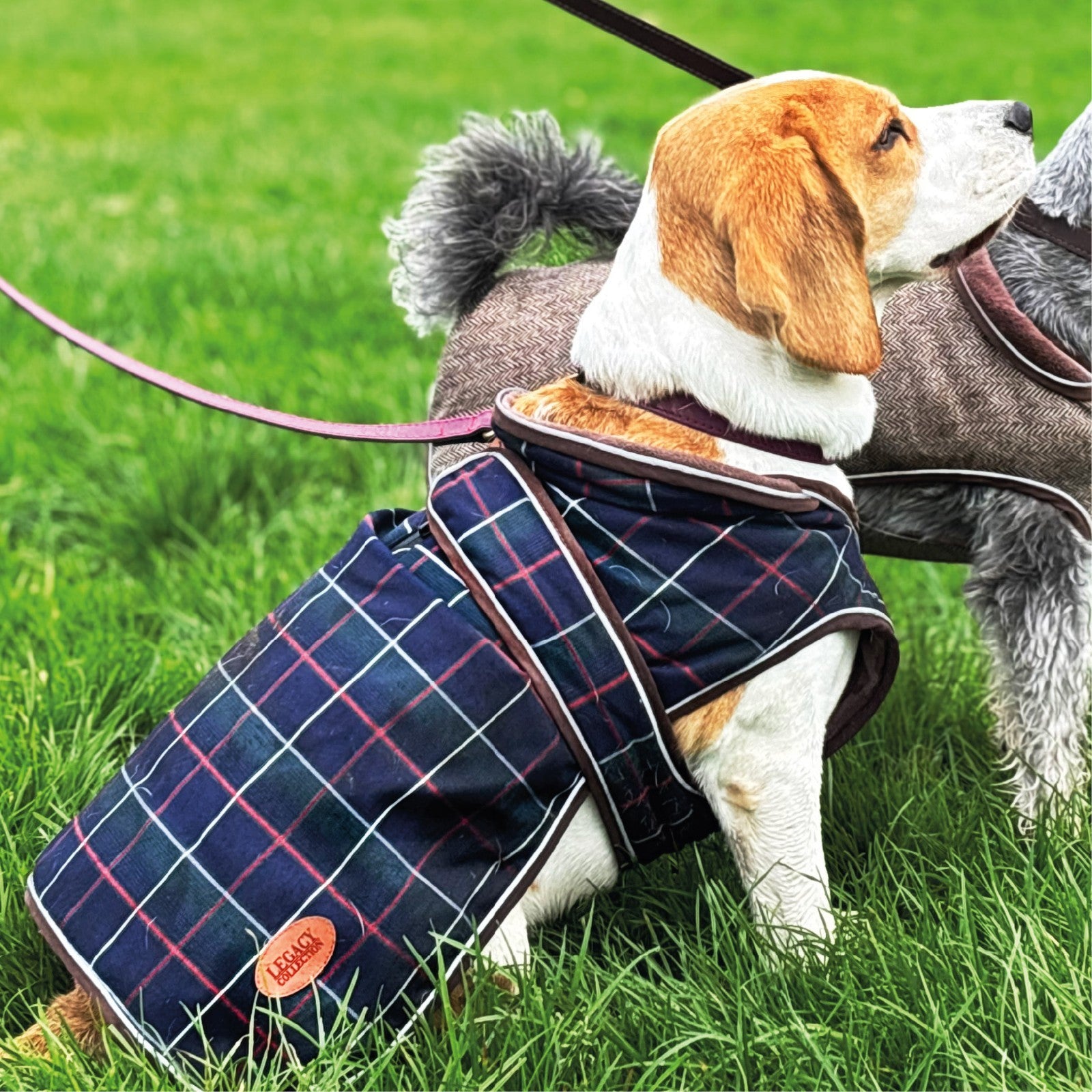 Hugglepets Legacy Dog Coat Traditional Tartan Herringbone Reflective Warm Jacket